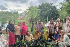 Libatkan KWT Kendalikan Inflasi Lewat Gerakan Tanam Cabe