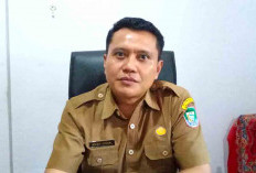 Peternak di Seluma Harus Sertakan SKKH Saat Jual Sapi