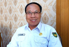 Dorong Masyarakat Bengkulu Selatan Selalu Tanam Sayuran