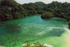 Pesona dan Keunikan Pulau Sempu di Selatan Pulau Jawa, Pulau kecil yang Kaya Flora dan Fauna