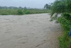 BREAKING NEWS: 4 Perempuan Terseret Arus Sungai Air Kedurang
