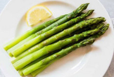 Peluang Usaha Pertanian, Menanam Sayur Asparagus, Harga Mahal, Sekali Tanam Bisa Panen Puluhan Tahun