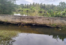 Tanggul Pantai Dakem Jebol, Tak Kuat Tahan Gerusan dan Luapan Laut