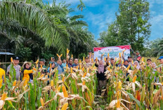 Program Ketahanan Pangan Polres Bengkulu Selatan Terus Berlanjut