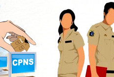 Formasi CPNS Kaur Tinggal 89 Kursi, 13 Peserta SKB Tanpa Saingan