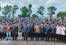 Sudah Dapat SK, 7 Tenaga PPPK Wanita Gugat Cerai Suami