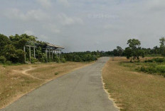 Fasilitas Olahraga Unggulan Bengkulu Selatan Terbengkalai, Potensi Daerah Terbuang