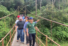 Wabup Kaur Tinjau Jembatan Gantung yang Rusak di Kecamatan Luas