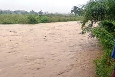 BREAKING NEWS: 4 Perempuan Terseret Arus Sungai Air Kedurang, Tagana Turunkan Tim