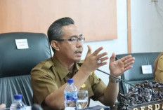 Komitmen Ketahanan Pangan di Desa, Alokasikan DD 20 Persen