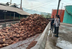 Karyawan PT. APLS Meninggal, Murni Kecelakaan Kerja