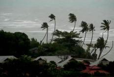 Waspadi Hujan Lebat dan Angin Kencang