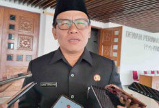 Antisipasi Dampak Petir, Akademisi Sarankan Pemasangan SPD