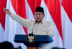 Tahun Pertama Pemerintahan, Prabowo Fokus Ketahanan Pangan Nasional