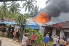 Rumah Terbakar Saat Ditinggal ke Kebun, Uang Tunai Rp 45 Juta Jadi Abu