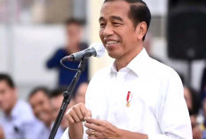 Dua Partai Besar Siap Tampung Jokowi