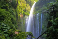 Pesona Alam Lombok Utara, Air Terjun Tiu Kelep dan Sendang Gila, Kesejukan Alami Menerobos Kalbu