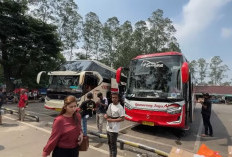 Mudik Gratis 2025, Jasa Raharja Siapkan 20 Ribu Tiket Bus, Kereta Api dan Kapal Laut! Daftar di Sini