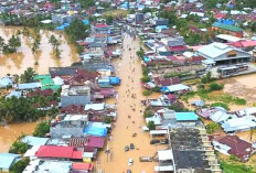 Banjir di Bengkulu, Walhi Soroti Persoalan DAS
