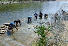 Pasang Bronjong di Sukarami, Bupati Ajak Dandim dan Kapolres