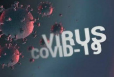 Pemkab Seluma Terbitkan Surat Edaran Waspadai Penyebaran Virus Covid-19