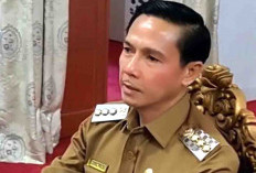 87 CPNS Kaur Formasi 2024 Terima SK