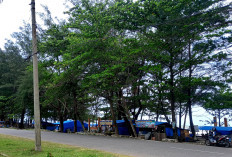 Jaringan Listrik Mati Total, Pelanggan PLN di Bengkulu Selatan Justru Diminta Iuran Beli Kabel