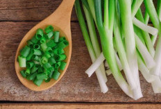 Bukan Hanya Tuk Memasak, Ketahui 5 Manfaat Daun Bawang