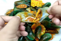 Kandungan Nutrisi Kerang Hijau, Sumber Protein dengan Harga Terjangkau! Ketahui Risikonya 