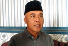 Soal Tambang Emas, Dewan Minta Pemkab Seluma Perhatikan Dampak Lingkungan