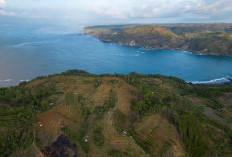 Pantai Jungwok, Pantai Indah di Yogyakarta, Ini Lokasi, Jam Buka dan Harga Tiketnya