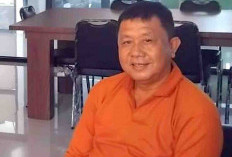 Perpusda Seluma Dipercaya Tuk Kembangkan Aplikasi Srikandi