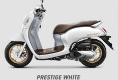 Harga Honda Scoopy, PCX 160, dan Forza per Januari 2025