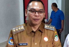 Terus Menuai Sorotan, Bupati Seluma Bakal Kaji Rencana Pembukaan Tambang Emas Bukit Sanggul