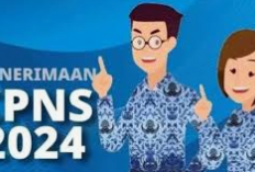  Calon Pendaftar Seleksi CPNS 2024 Wajib tahu, Ini Hal Yang Harus Dihindari Saat Mendaftar