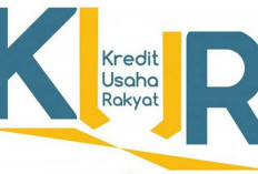 Kredit Usaha Rakyat di Provinsi Bengkulu Tersalurkan Rp1,11 Triliun