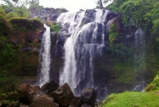 Air Terjun Putri Malu Way Kanan, Mutiara Tersembunyi di Hutan Sumatra