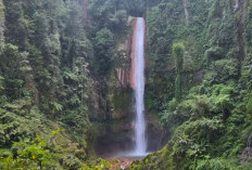 Curug Seribu, Air Terjun Tertinggi di Bogor, Lokasinya Dekat Kawasan Taman Nasional Gunung Halimun Salak