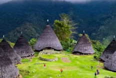 Desa Di Atas Awan, Surga Tersembunyi di Nusa Tenggara Timur, Wae Rebo Namanya