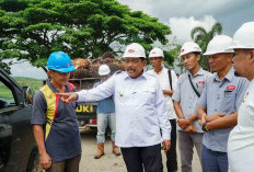 Wagub Bengkulu Ngamuk! Ancam Tutup Pabrik CPO Nakal yang Langgar Ketetapan Harga Sawit