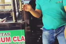 Berkualitas dan Tahan Banting, Dilindas Mobil, Plafon Ini Tidak Rusak