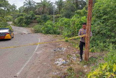 Perbaiki Jalan DPRD-Kurawan, Dinas PUPR Bengkulu Selatan Usulkan Anggaran Rp29 Miliar