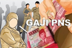 Bupati Seluma Akui Pemkab Kewalahan Bayar Gaji Pegawai