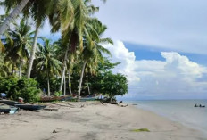 Pulau Siberut, Pulau Terindah di Mentawai, Pemandangan Alamnya Memukau