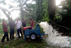 Tanggulangi Sawah Kekeringan, 232 Pompa Air Akan Disalurkan Ke Kelompok Tani di Bengkulu