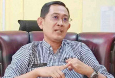 Raih Penghargaan, DPM-PTSP Bengkulu Selatan Terus Tingkatkan Pelayanan