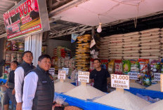 Harga Beras Di Bengkulu Stabil