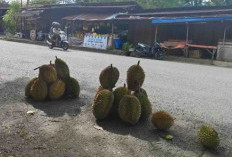 Pedagang Durian Diingatkan Jaga Kebersihan dan Tak Ganggu Marka Jalan