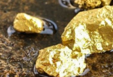 Daerah dengan Kandungan Emas Terbesar di Indonesia, Termasuk Cadangan di Kabupaten Seluma Bengkulu