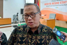 Luas Panen Padi Se-Provinsi Bengkulu Turun 6,67 Persen